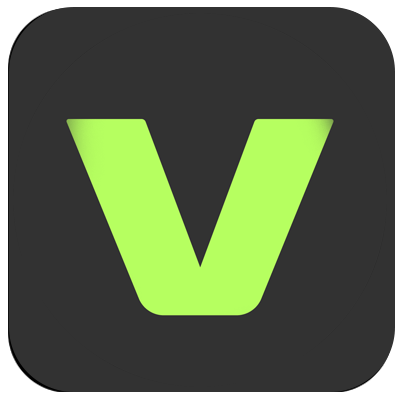 veed.io logo