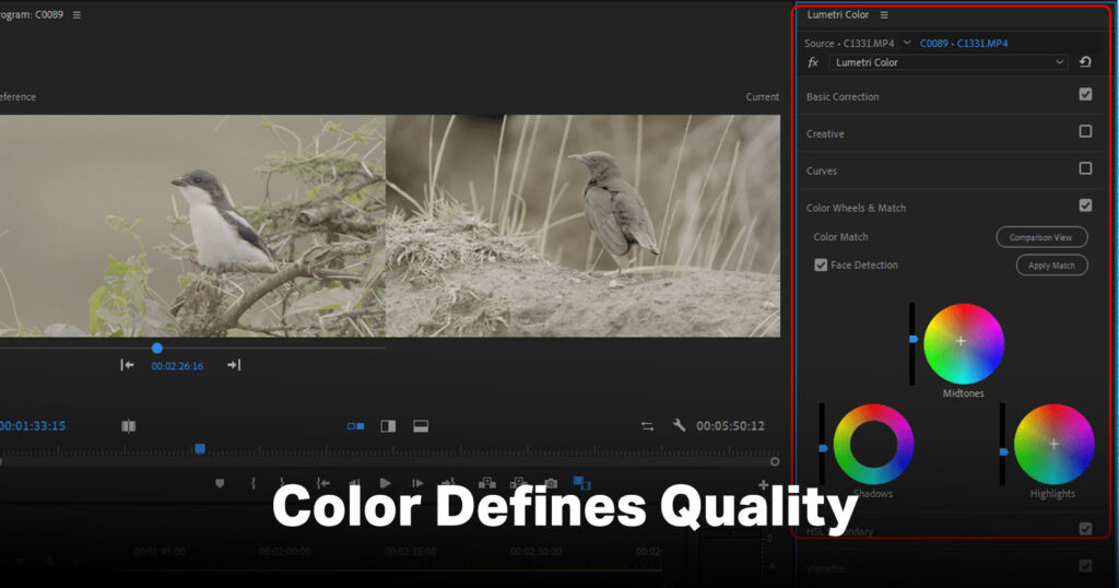 common video editing mistakes - poor color grading